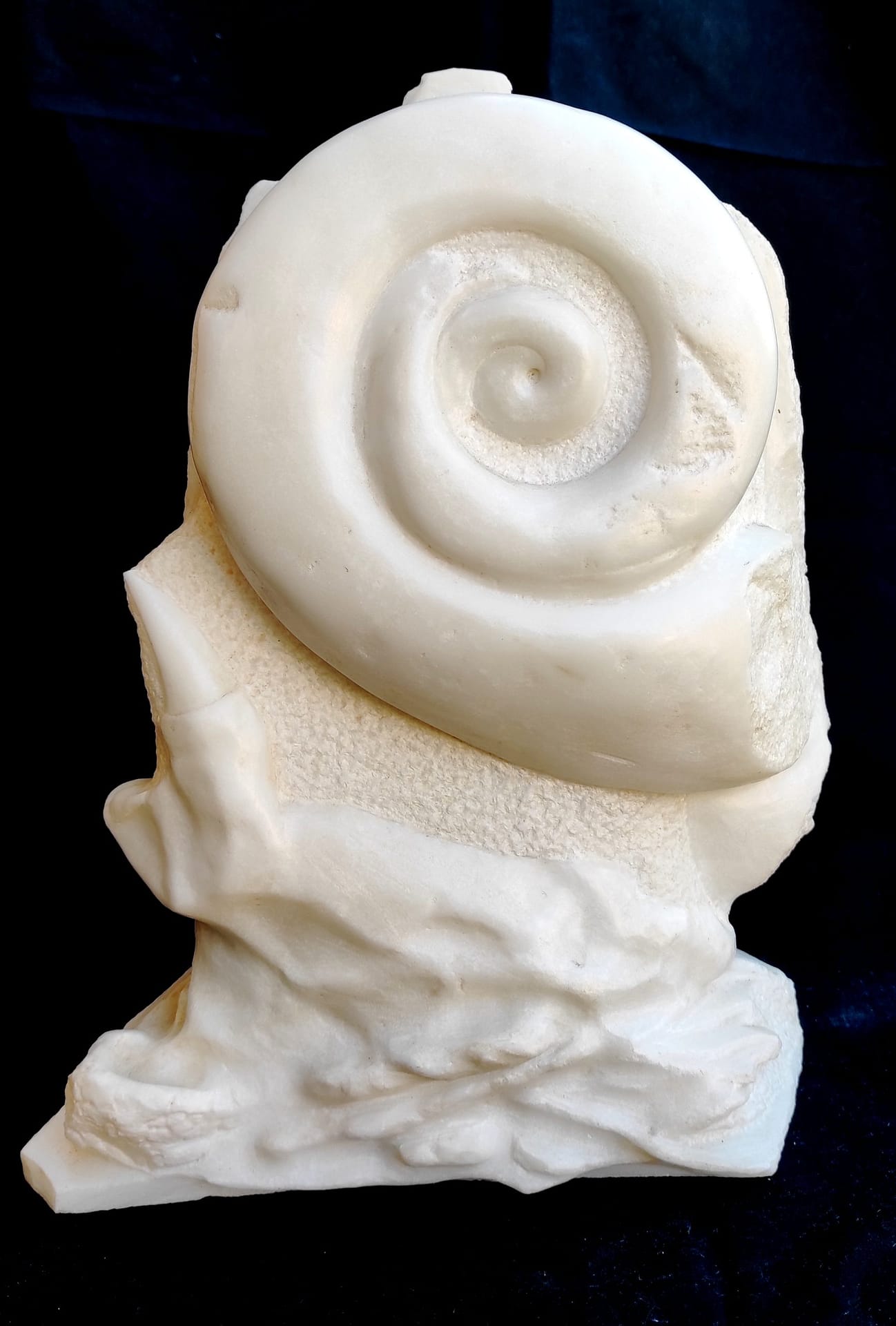 Ficus Nautilus. Marmo bianco statuario